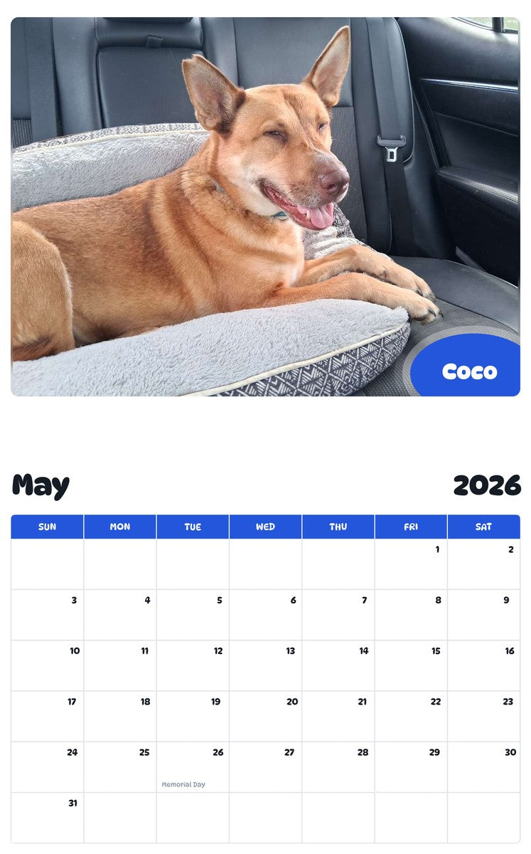 2026 - 2027 Coco - Pawidols Pet Calendar