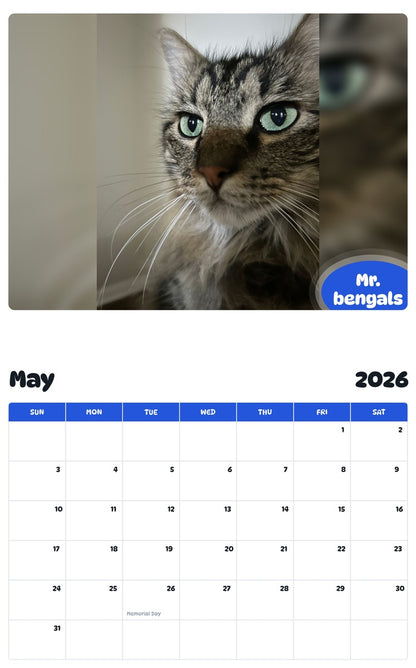 2026 - 2027 Mr. bengals - Pawidols Pet Calendar