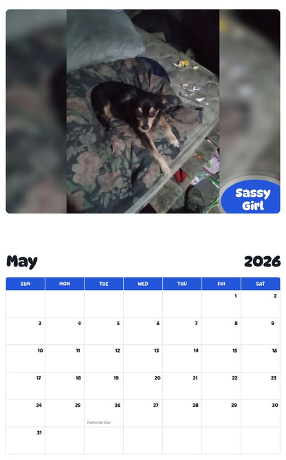2026 - 2027 Sassy Girl - Pawidols Pet Calendar