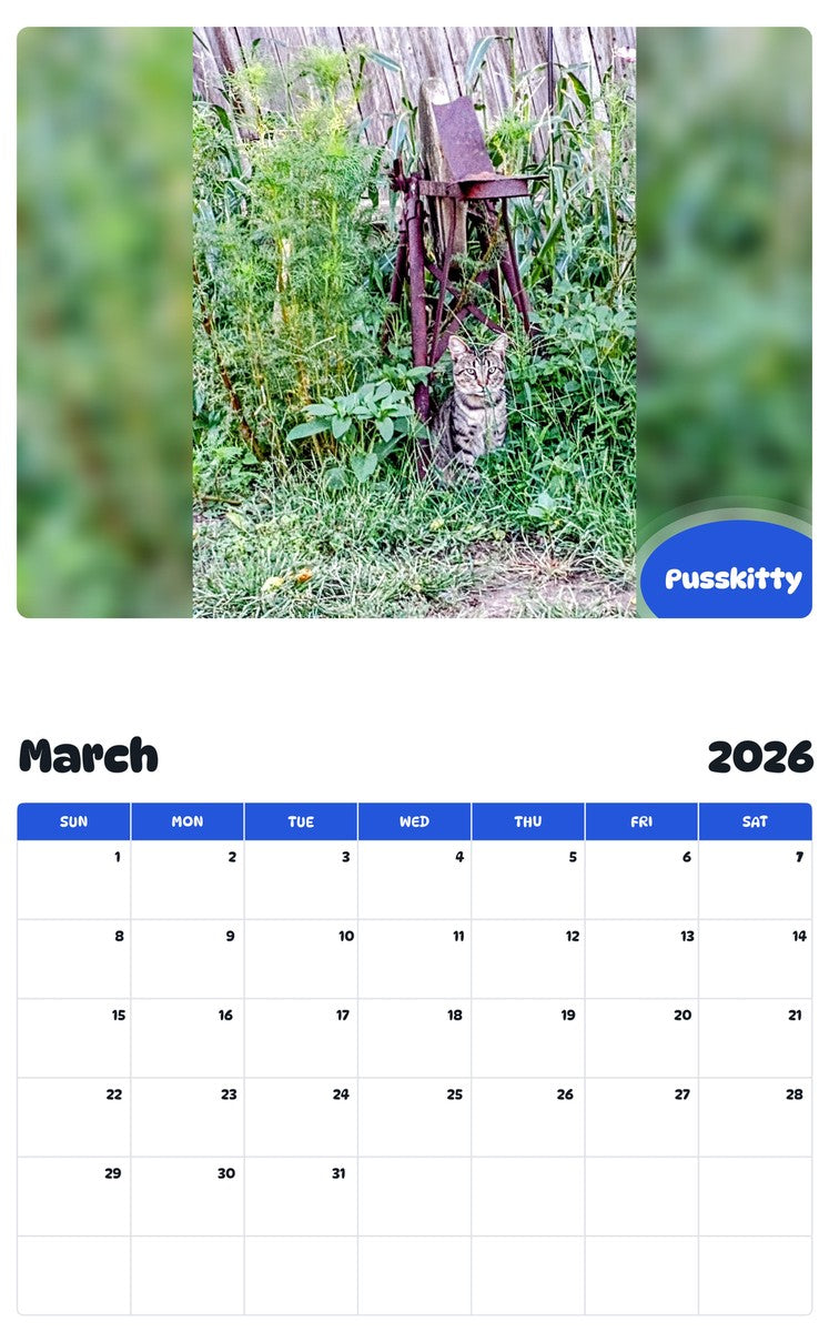 November 2025 - October 2026 Pusskitty - Pawidols Pet Calendar