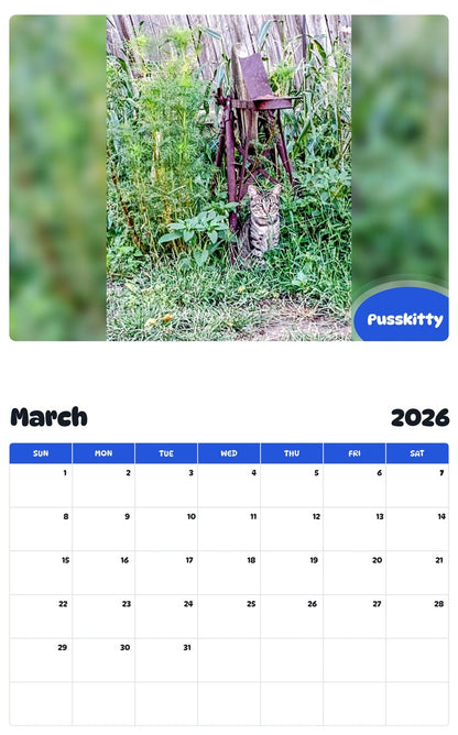 November 2025 - October 2026 Pusskitty - Pawidols Pet Calendar