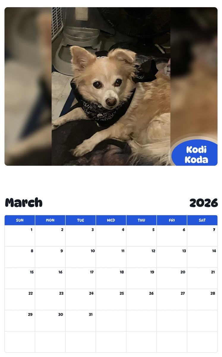 November 2025 - October 2026 Kodi Koda - Pawidols Pet Calendar