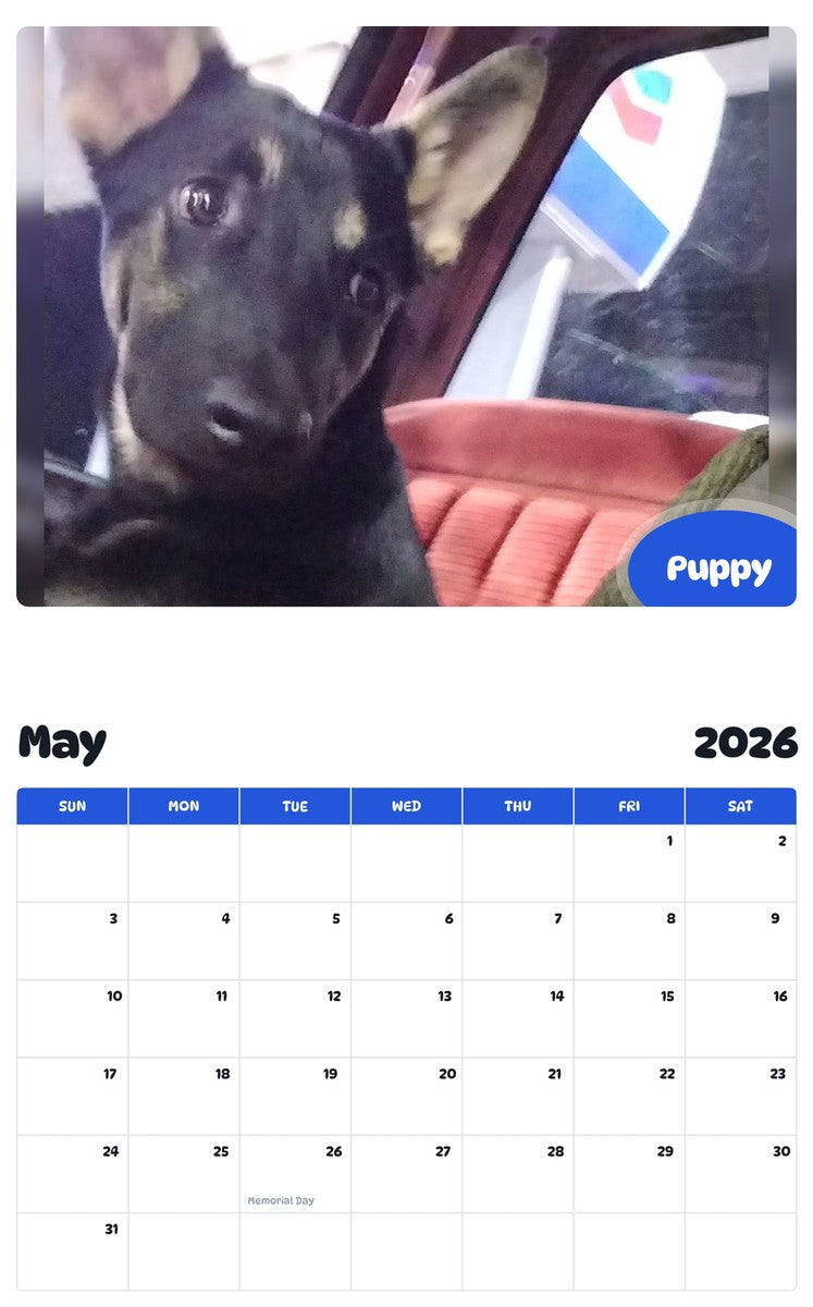 2026 - 2027 Puppy - Pawidols Pet Calendar