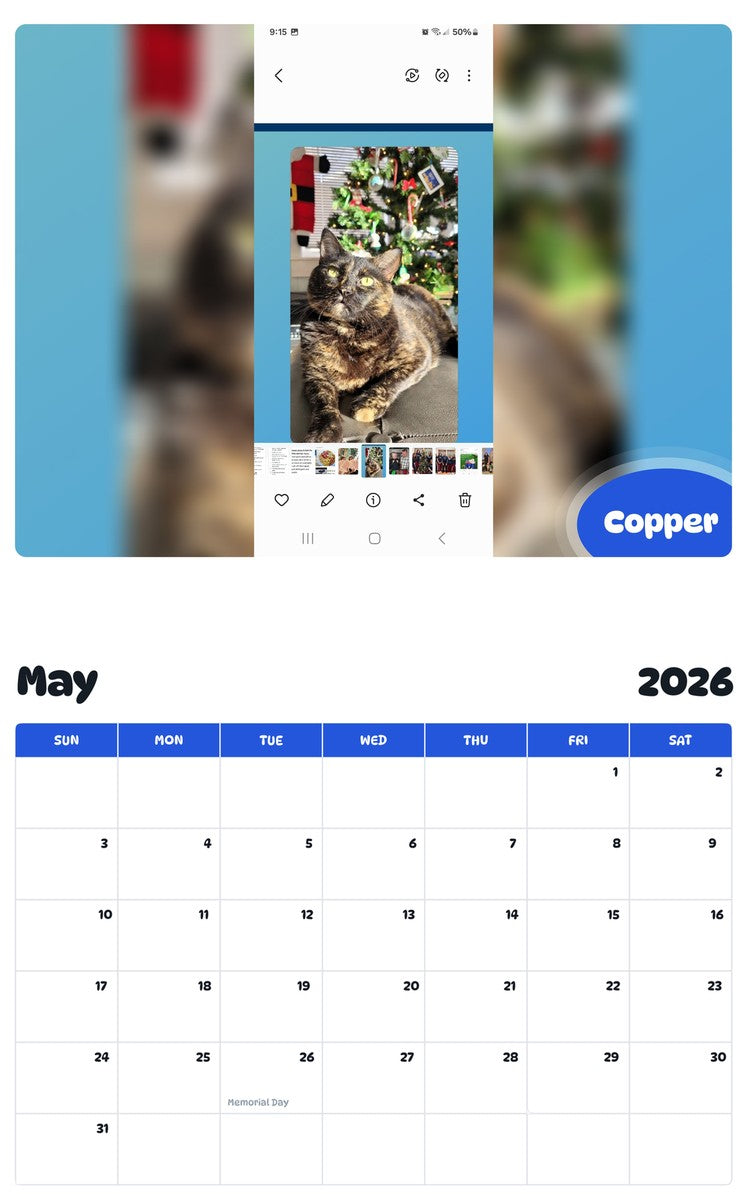 2026 - 2027 Copper - Pawidols Pet Calendar