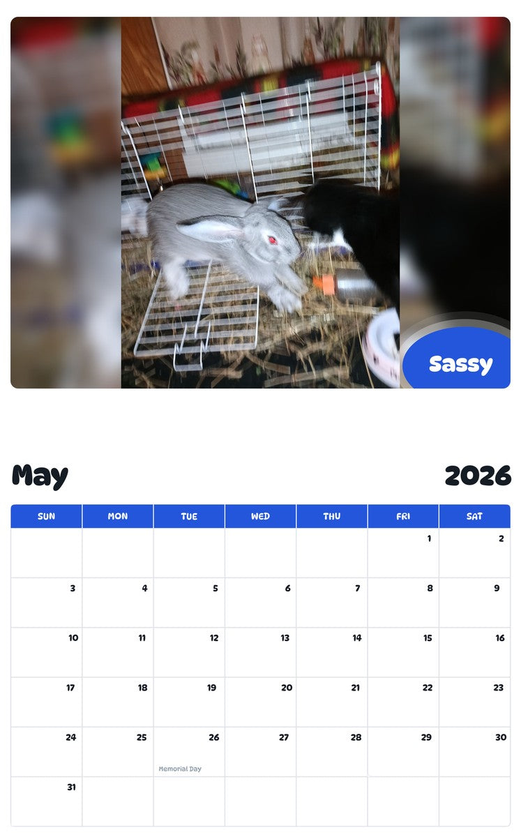 2026 - 2027 Sassy - Pawidols Pet Calendar