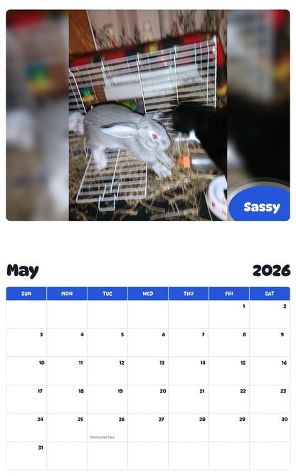 2026 - 2027 Sassy - Pawidols Pet Calendar