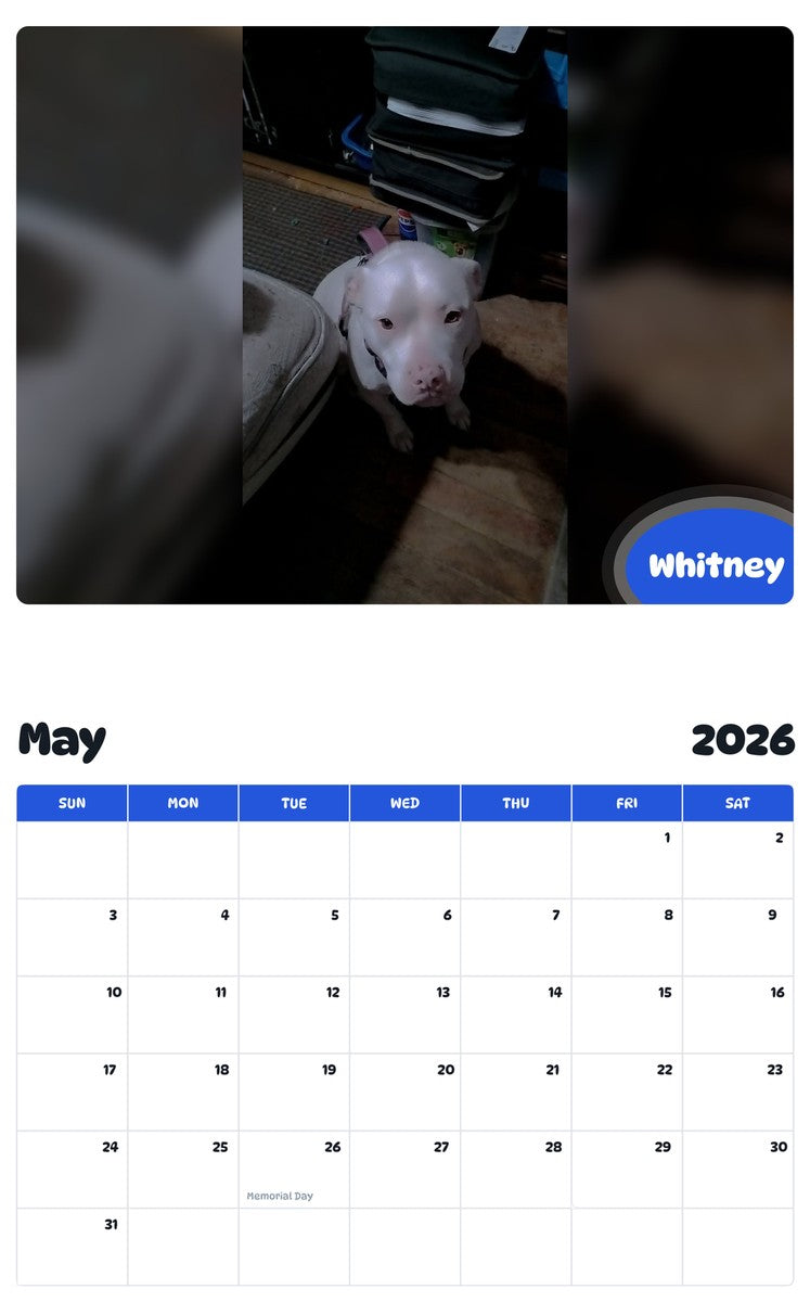2026 - 2027 Whitney - Pawidols Pet Calendar