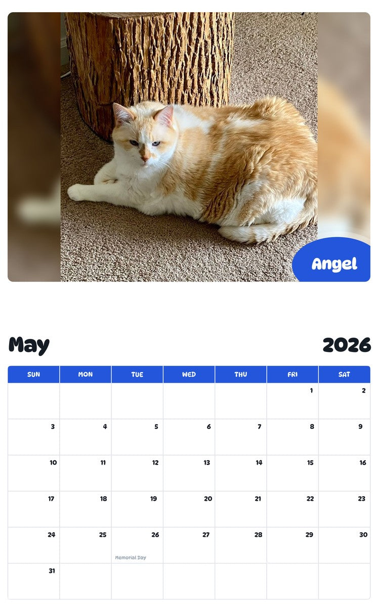 2026 - 2027 Angel - Pawidols Pet Calendar