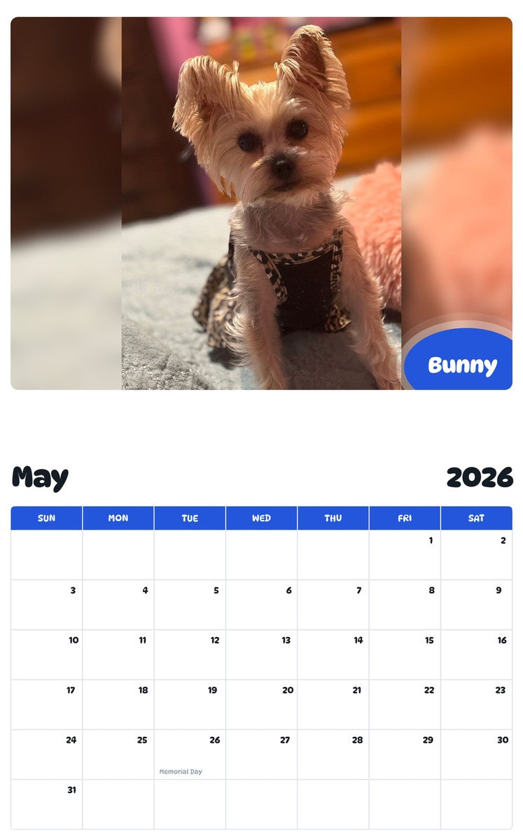 2026 - 2027 Bunny - Pawidols Pet Calendar
