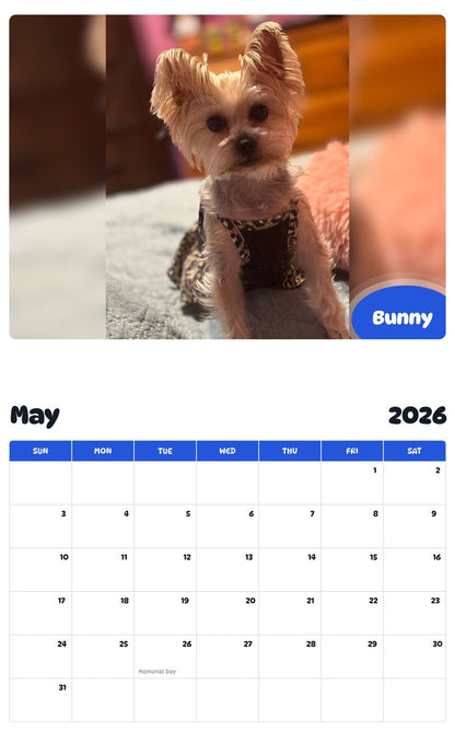 2026 - 2027 Bunny - Pawidols Pet Calendar