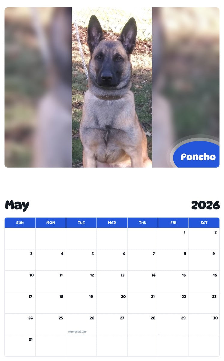 2026 - 2027 Poncho - Pawidols Pet Calendar