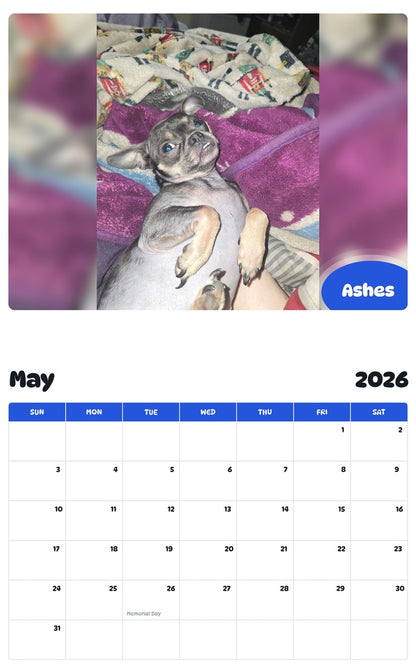 2026 - 2027 Ashes - Pawidols Pet Calendar