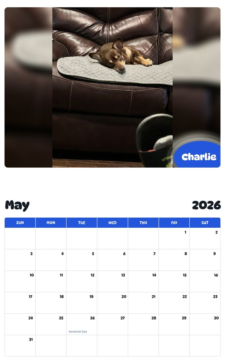 2026 - 2027 Charlie - Pawidols Pet Calendar