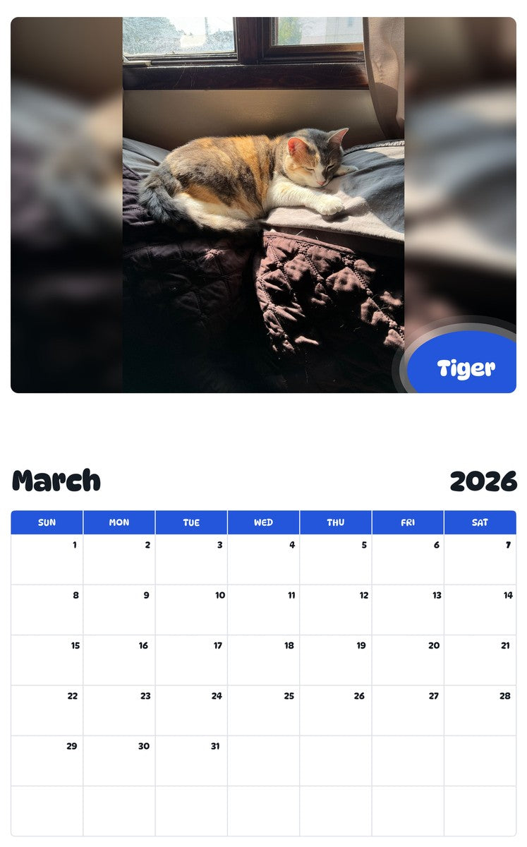 November 2025 - October 2026 Tiger - Pawidols Pet Calendar