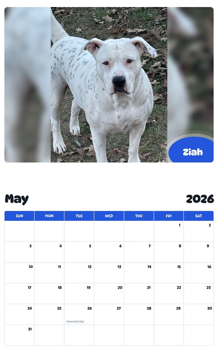 2026 - 2027 Ziah - Pawidols Pet Calendar