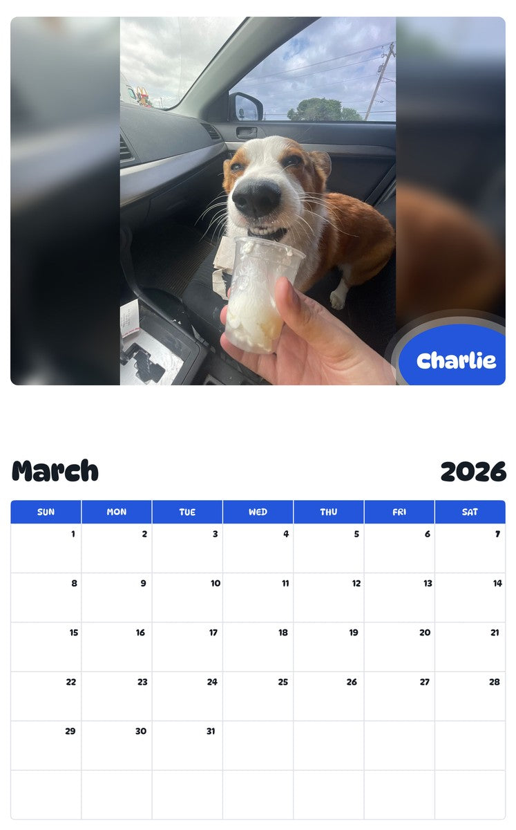 November 2025 - October 2026 Charlie - Pawidols Pet Calendar