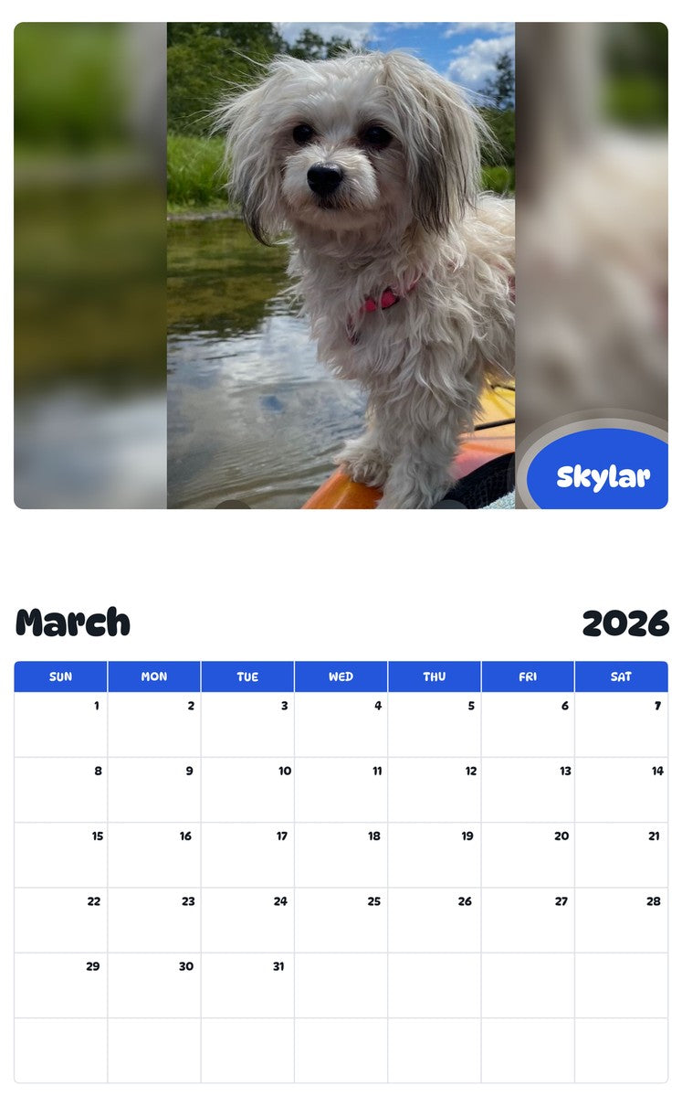 November 2025 - October 2026 Skylar - Pawidols Pet Calendar