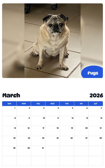 November 2025 - October 2026 Pugs - Pawidols Pet Calendar
