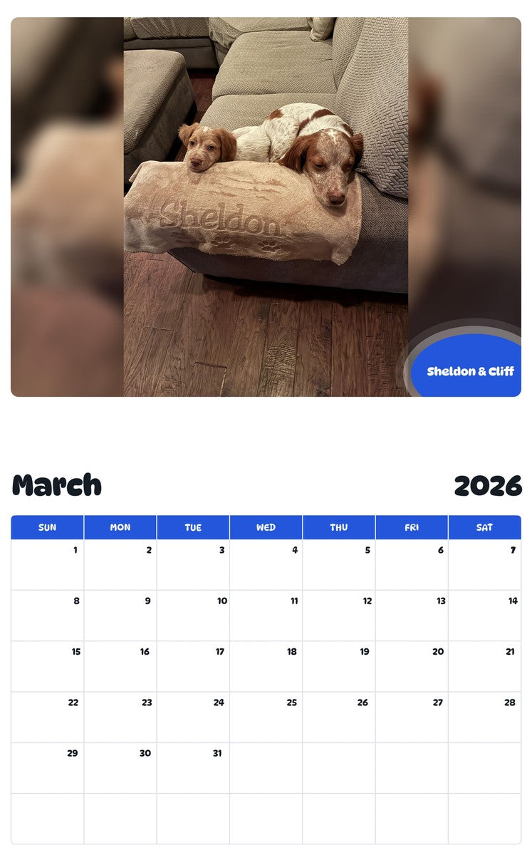 November 2025 - October 2026 Sheldon & Cliff - Pawidols Pet Calendar