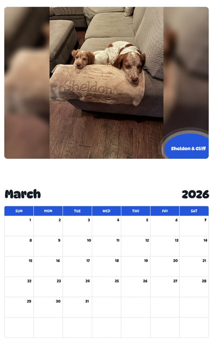 November 2025 - October 2026 Sheldon & Cliff - Pawidols Pet Calendar