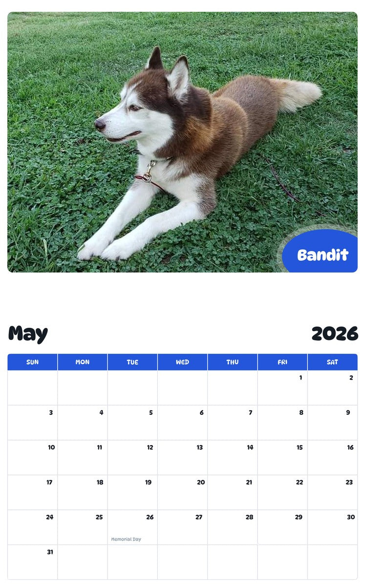 2026 - 2027 Bandit - Pawidols Pet Calendar
