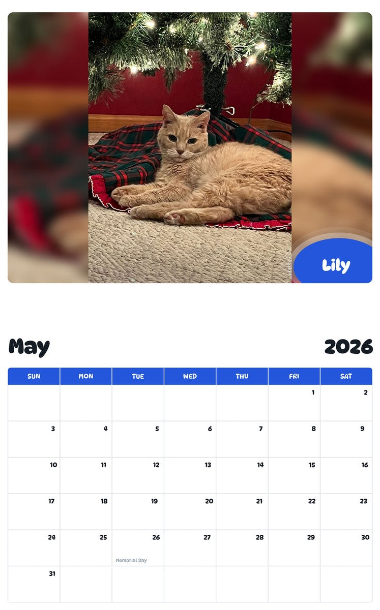 2026 - 2027 Lily - Pawidols Pet Calendar