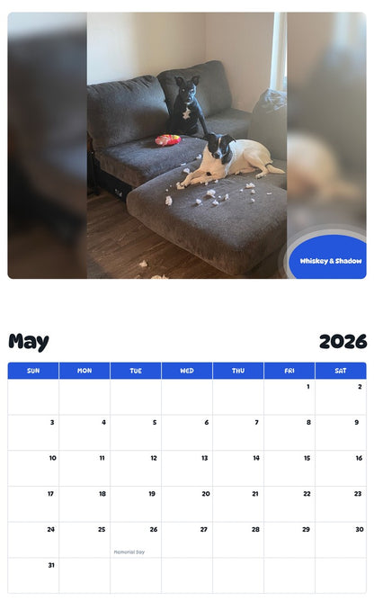 2026 - 2027 Whiskey & Shadow - Pawidols Pet Calendar