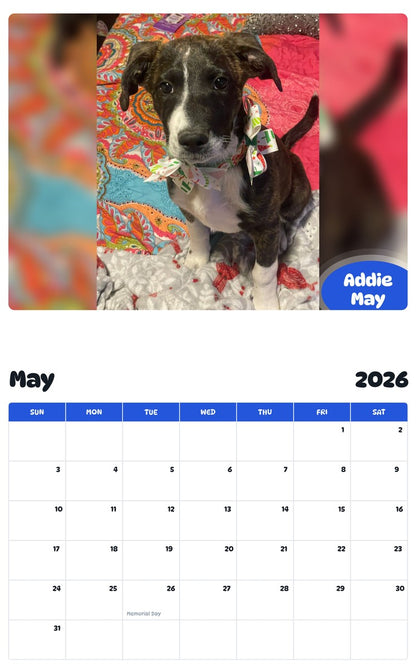 2026 - 2027 Addie May - Pawidols Pet Calendar