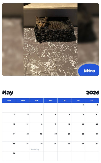 2026 - 2027 Nitro - Pawidols Pet Calendar