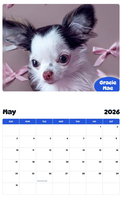 2026 - 2027 Gracie Mae - Pawidols Pet Calendar
