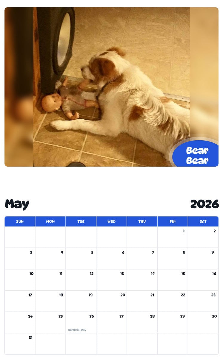 2026 - 2027 Bear Bear - Pawidols Pet Calendar