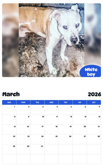 November 2025 - October 2026 White boy - Pawidols Pet Calendar