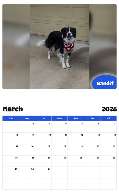 November 2025 - October 2026 Bandit - Pawidols Pet Calendar