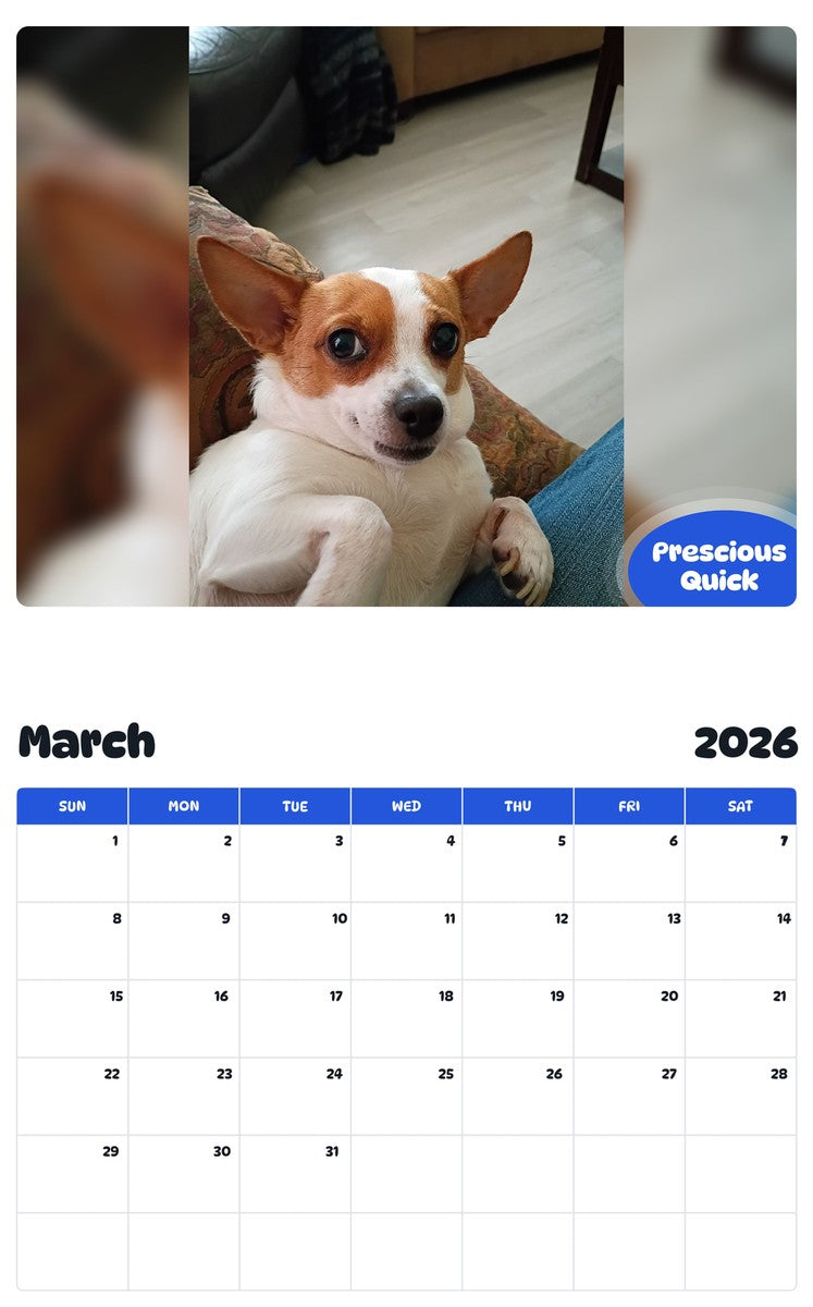 November 2025 - October 2026 Prescious Quick - Pawidols Pet Calendar