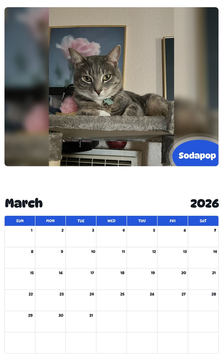 November 2025 - October 2026 Sodapop - Pawidols Pet Calendar