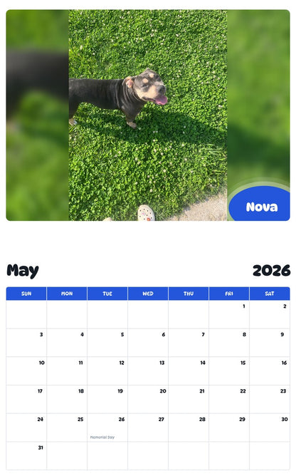 2026 - 2027 Nova - Pawidols Pet Calendar