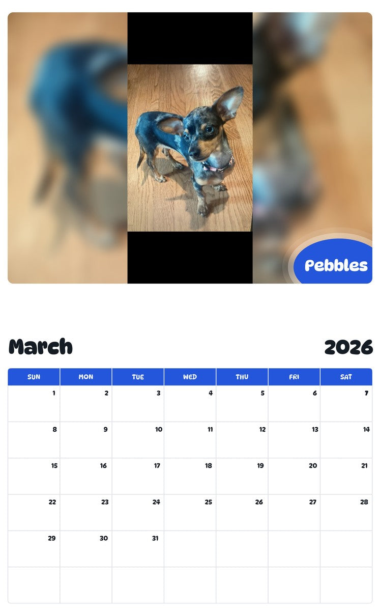 November 2025 - October 2026 Pebbles - Pawidols Pet Calendar