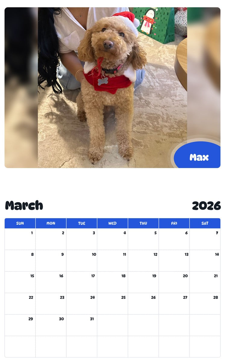 November 2025 - October 2026 Max - Pawidols Pet Calendar