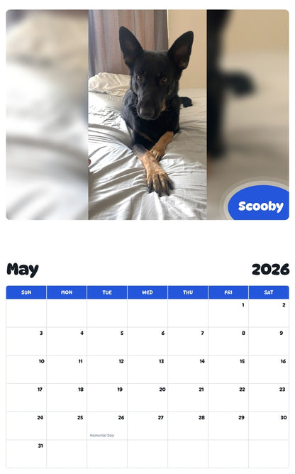 2026 - 2027 Scooby - Pawidols Pet Calendar