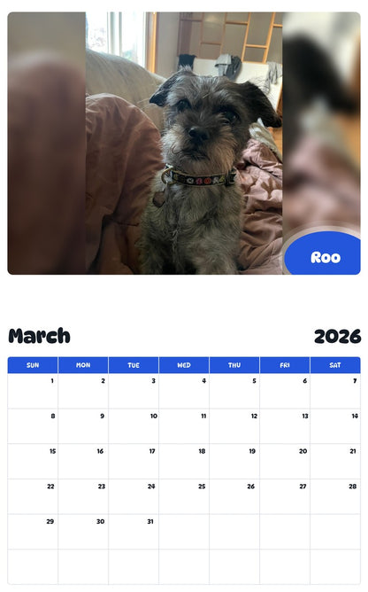 November 2025 - October 2026 Roo - Pawidols Pet Calendar