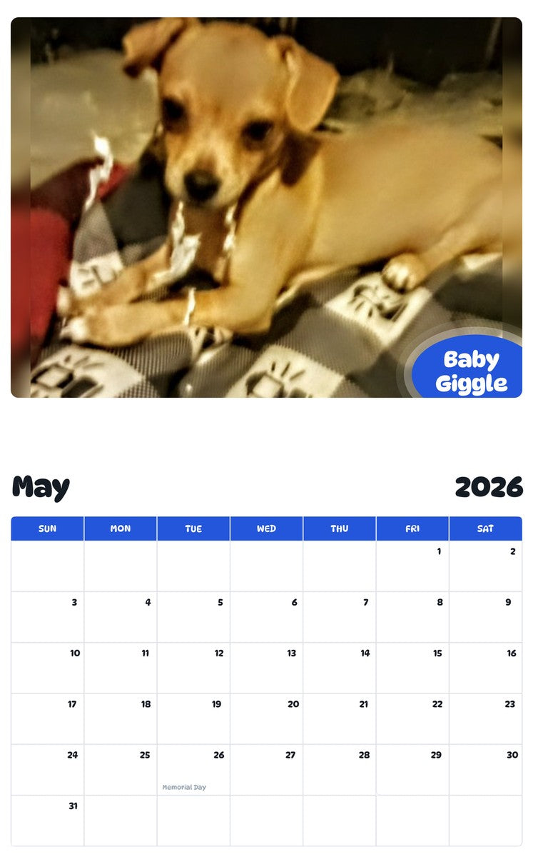 2026 - 2027 Baby Giggle - Pawidols Pet Calendar