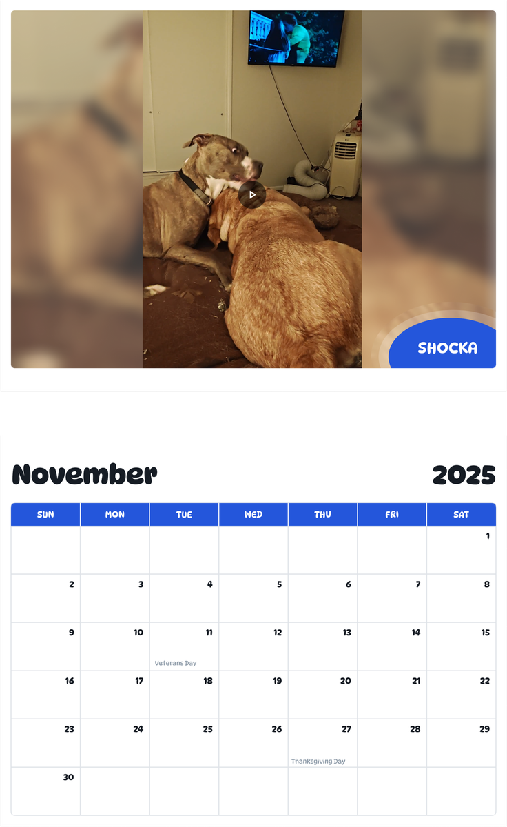 July 2025 - June 2026 Shocka - Pawidols Pet Calendar
