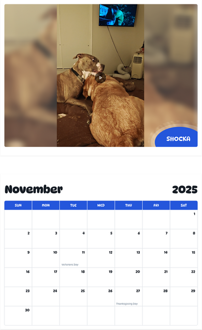 July 2025 - June 2026 Shocka - Pawidols Pet Calendar