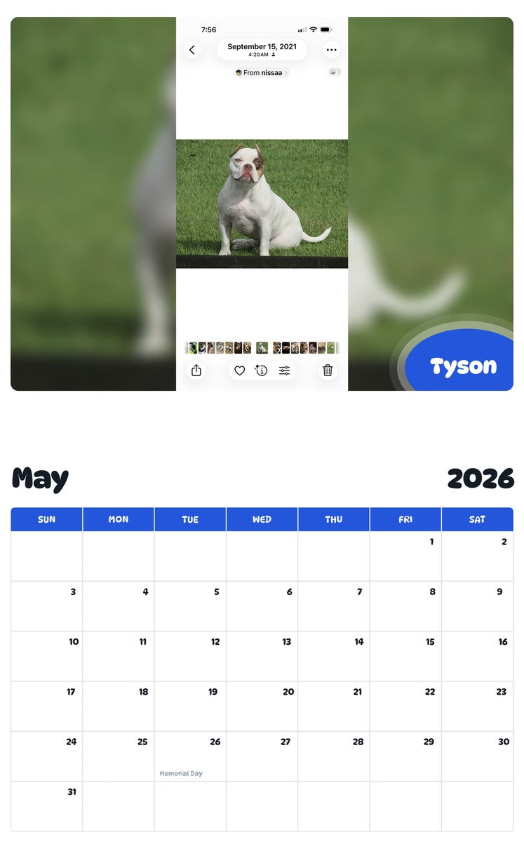 2026 - 2027 Tyson - Pawidols Pet Calendar