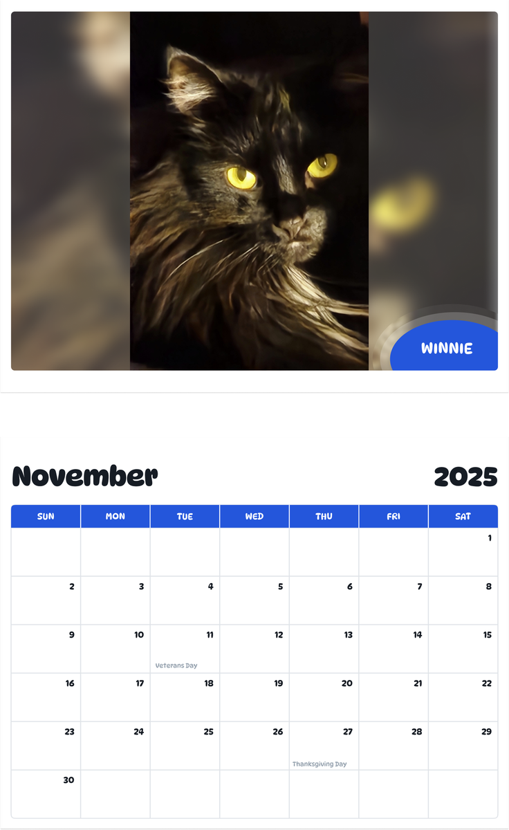July 2025 - June 2026 Winnie - Pawidols Pet Calendar