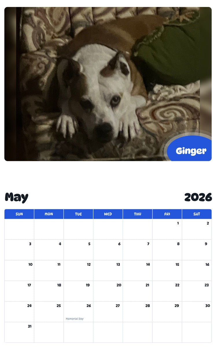 2026 - 2027 Ginger - Pawidols Pet Calendar