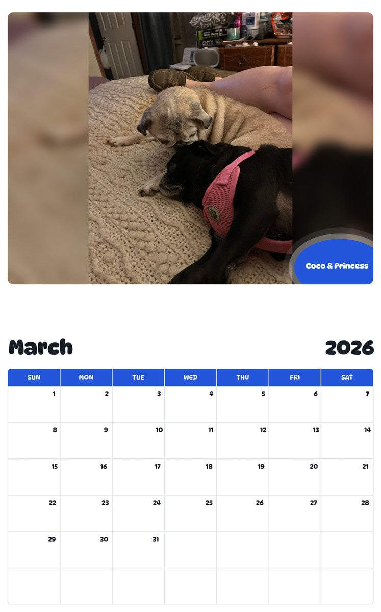November 2025 - October 2026 Coco & Princess - Pawidols Pet Calendar