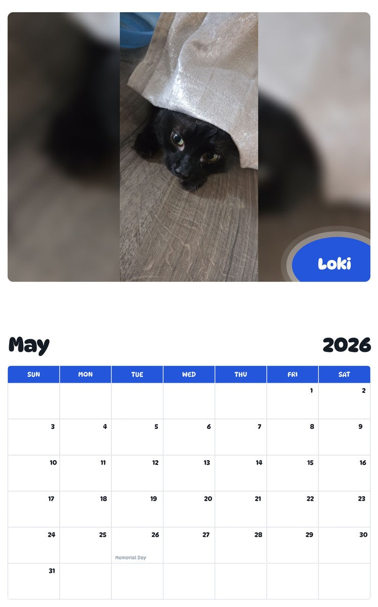2026 - 2027 Loki - Pawidols Pet Calendar