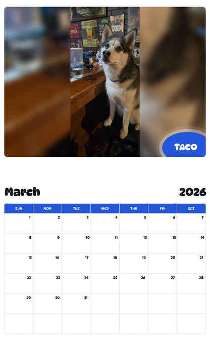 November 2025 - October 2026 TACO - Pawidols Pet Calendar