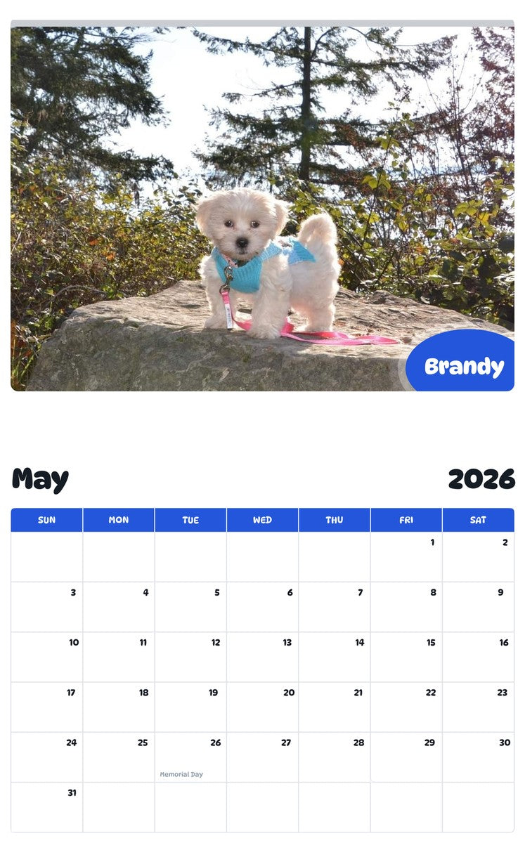 2026 - 2027 Brandy - Pawidols Pet Calendar